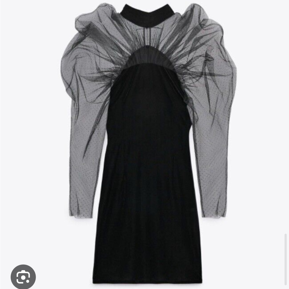 Zara velvet and tule top M